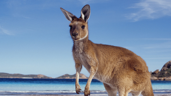 Australia