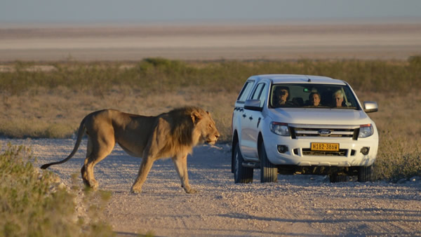 Big Five — safari en reserva privada