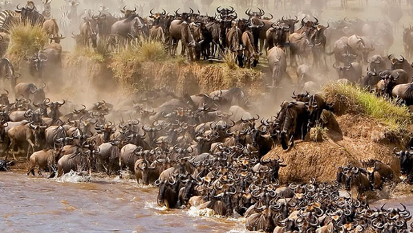 Tanzania