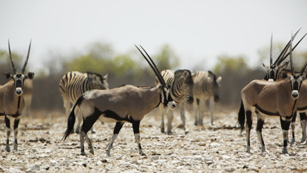Namibia