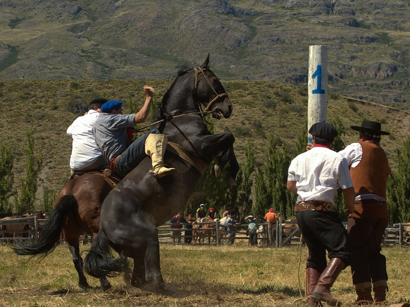 Vida de estancia patagónica