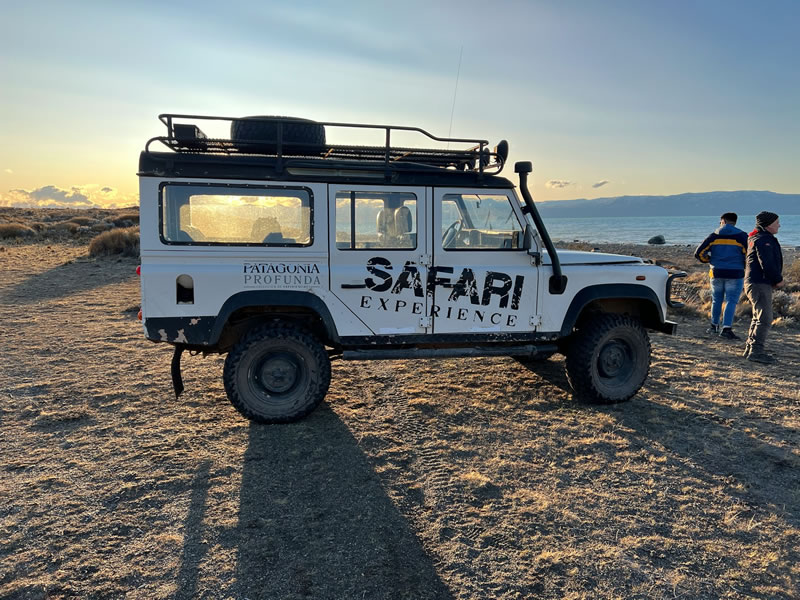 Safari fotográfico al amanecer