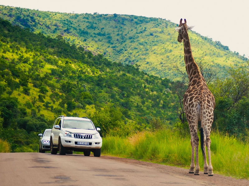 Parque Nacional Kruger