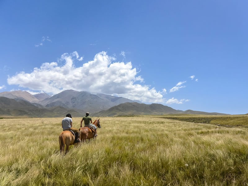 Cabalgata criolla en los Andes