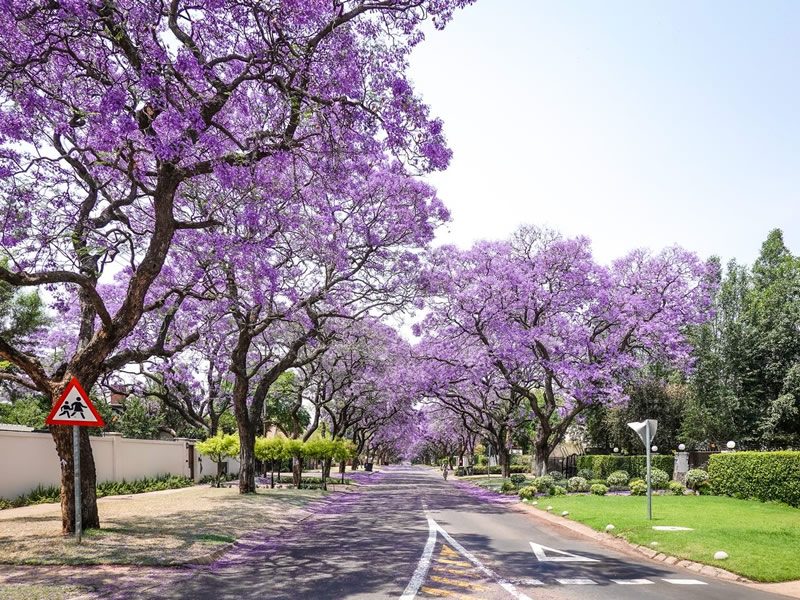 Pretoria
