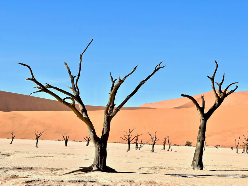 Sossusvlei