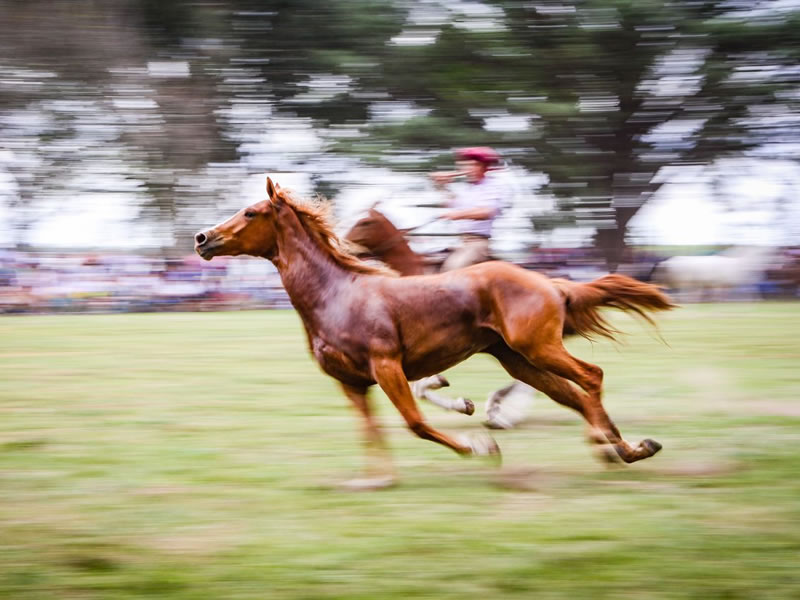 Actividades de estancia en las sierras