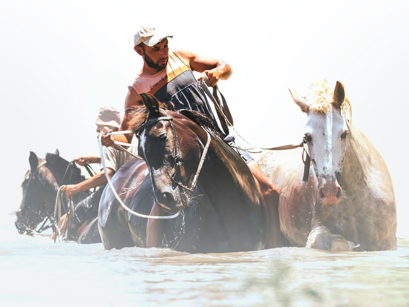 Gauchos en los humedales del Iberá