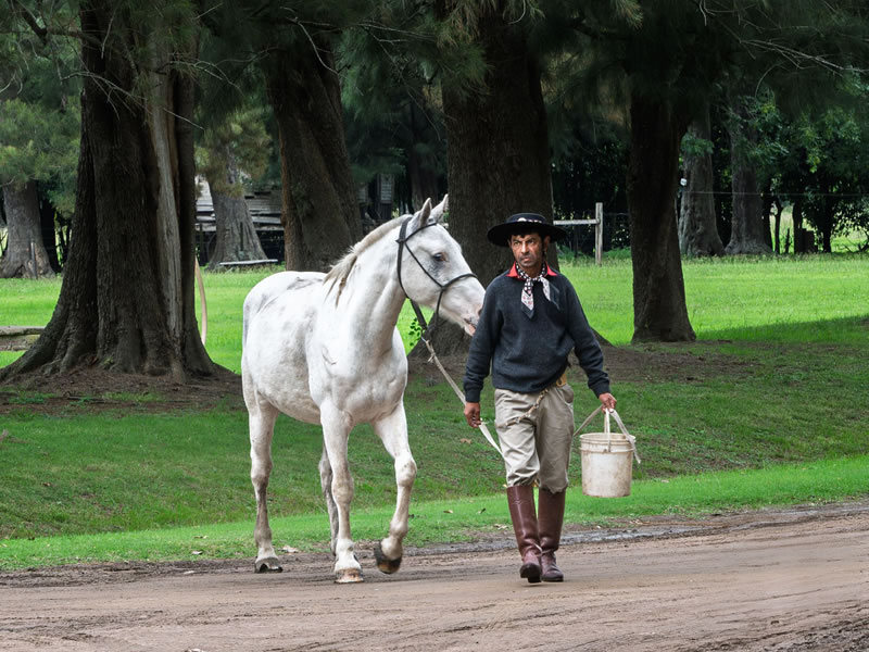 Paseo en estancia