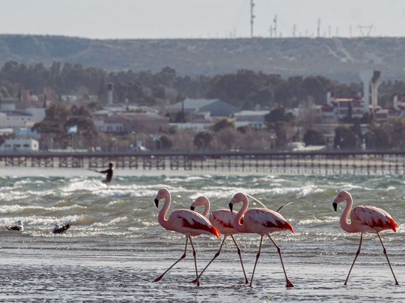 Playa de Puerto Madryn