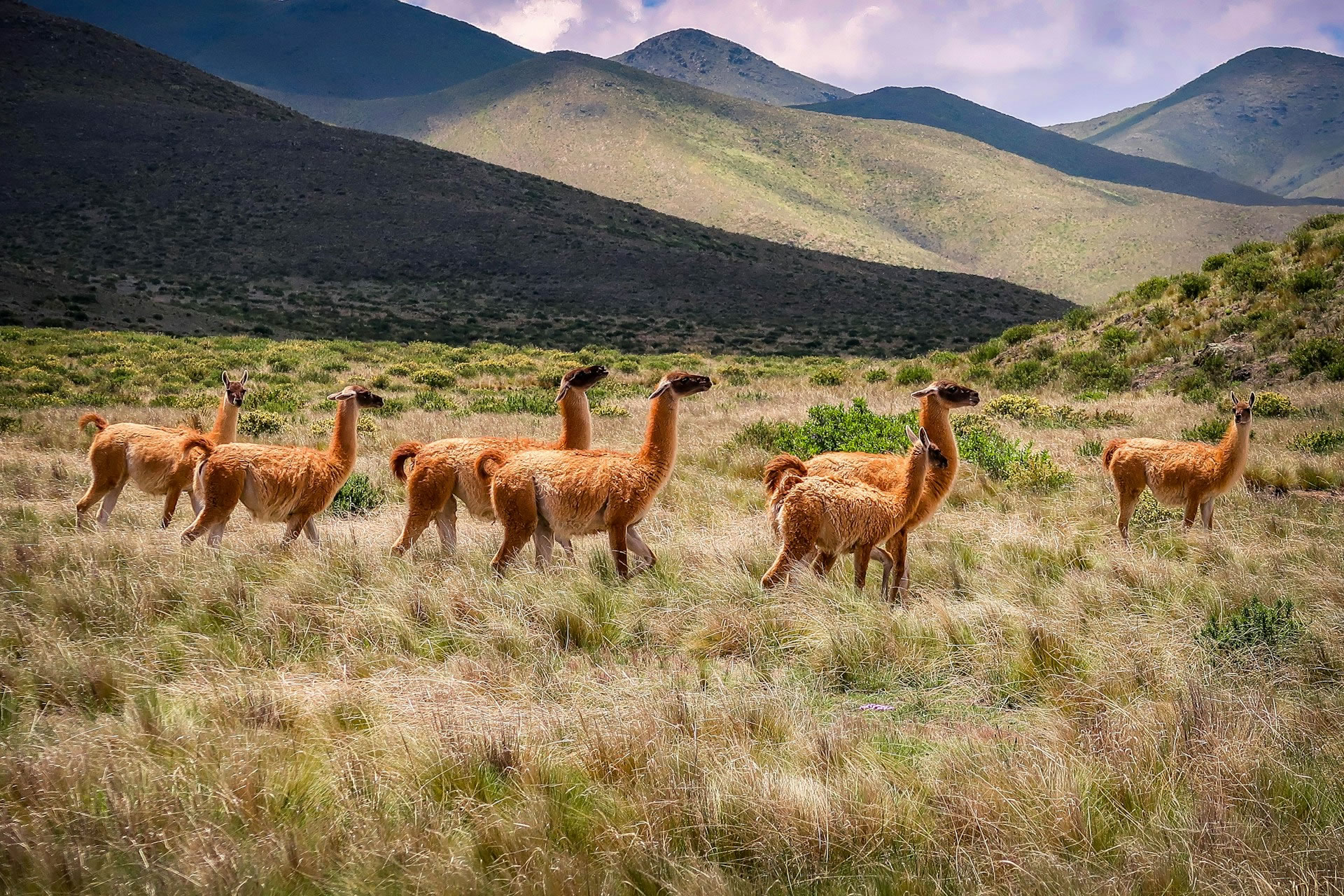 Cuesta del Obispo, Salta