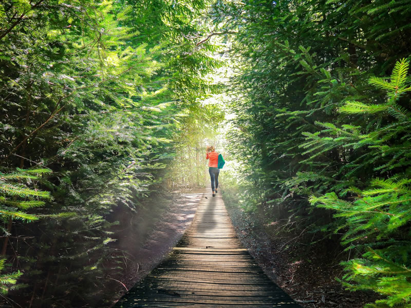 Trekking en Tacul