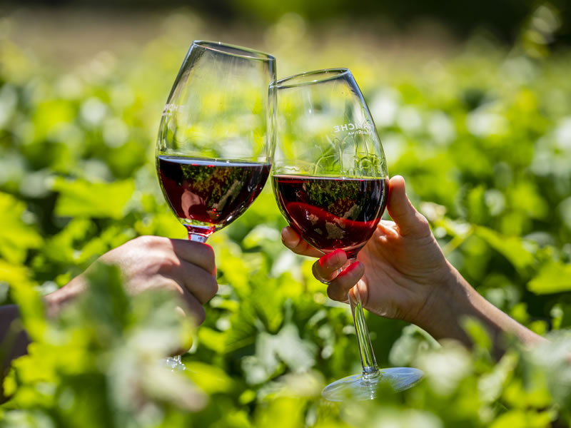 Vino serrano de Córdoba